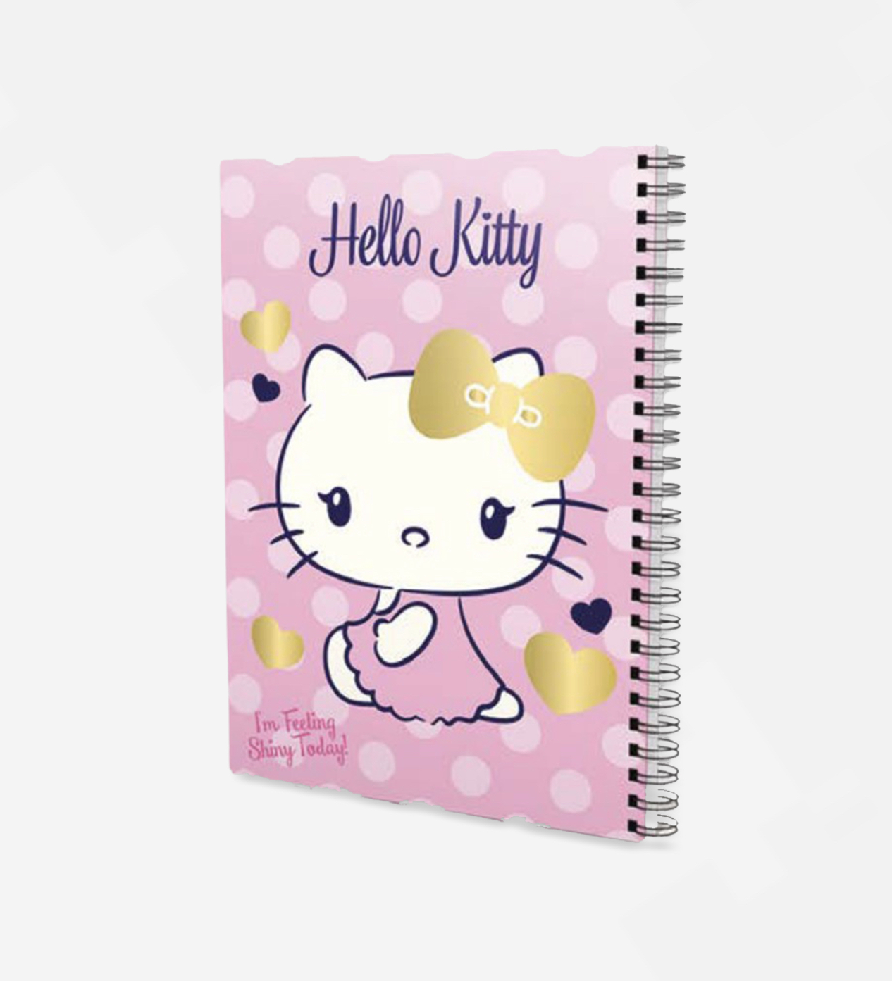 Hello kitty - exercise notebook- AR