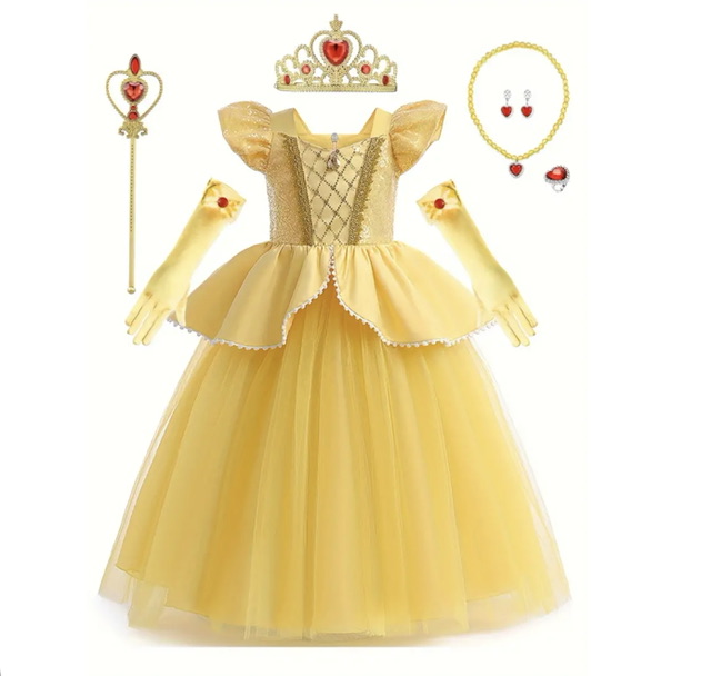 Princesses Dress Up w accessories